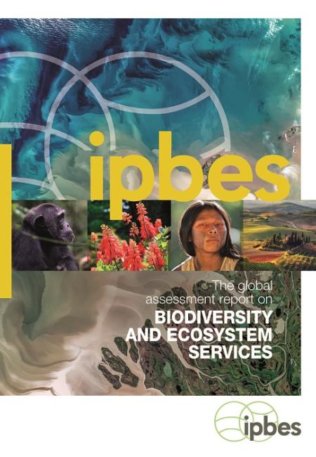 IPBES 全球评估报告封面