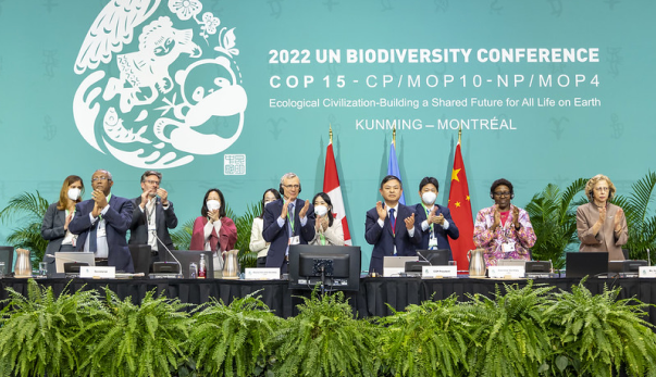 昆蒙框架相关官方视觉