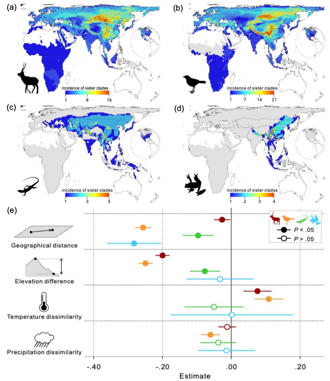 青藏高原特有陆生脊椎动物潜在起源及其环境驱动